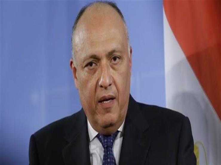 وزير الخارجية: فلسطين على رأس النقاش المستمر بين مصر وأمريكا