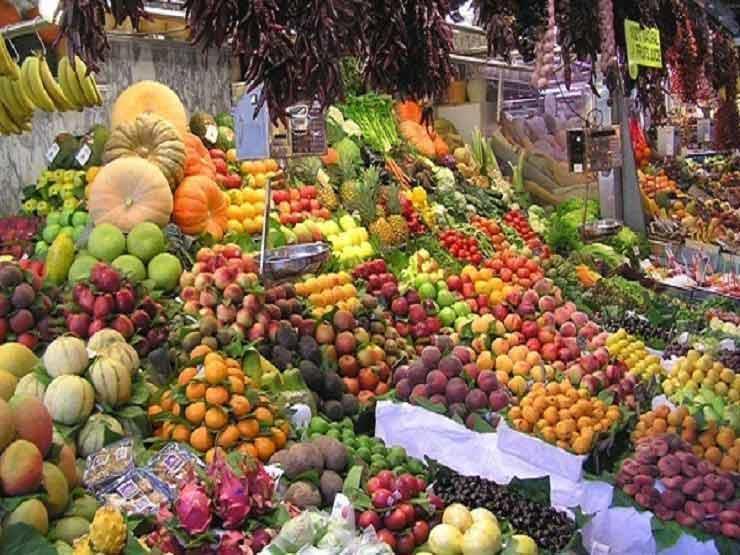 نقيب الزراعيين: إنتاج مصر من الفاكهة يصل إلى 12 طن سنويًا - فيديو