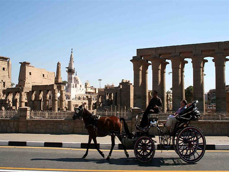 جولة عربة الحنطور