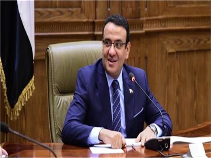 متحدث "البرلمان"عن الاستفتاء: "المصريون أثبتوا أن مصر ستحيا بفضل شعبها"