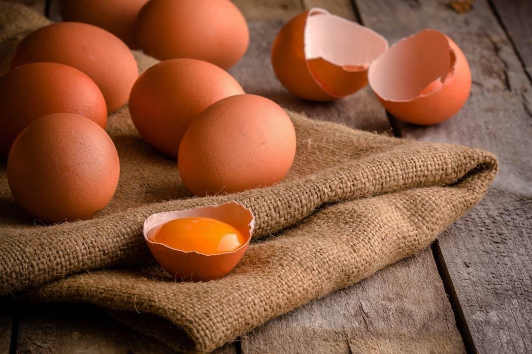 تناوله بكثرة قد يضرك.. كم بيضة يحتاجها جسمك؟