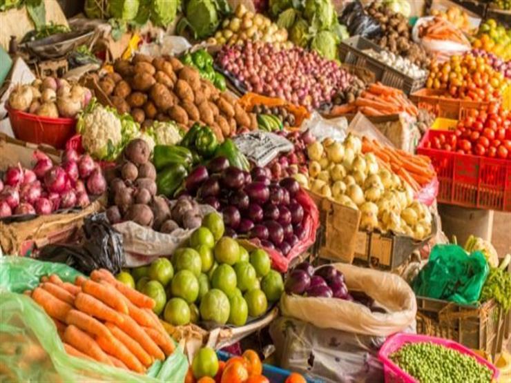 الزراعة: تم تصدير 5 ملايين و200 ألف طن خضراوت وفاكهة خلال 2018 