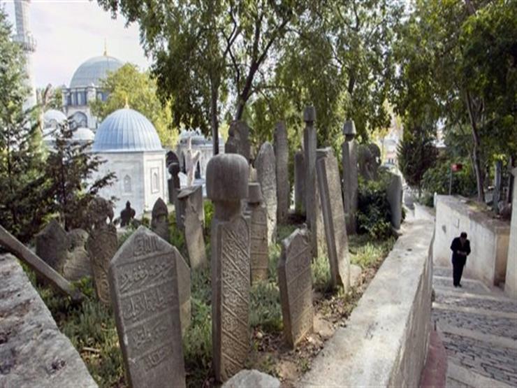 الإفتاء توضح حكم زراعة الأشجار داخل المقابر الإفتاء توضح حكم زراعة الأشجار داخل المقابر