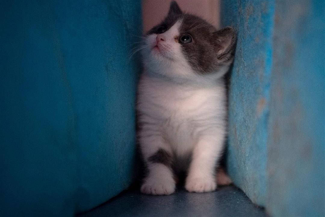 1567880123609_e0f3a2abe3acd0e4b22d08c05ac3989f