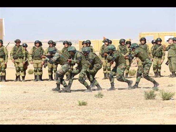 الشهاوي: الجيش المصري والروسي يتعاونان في مجال مكافحة الإرهاب