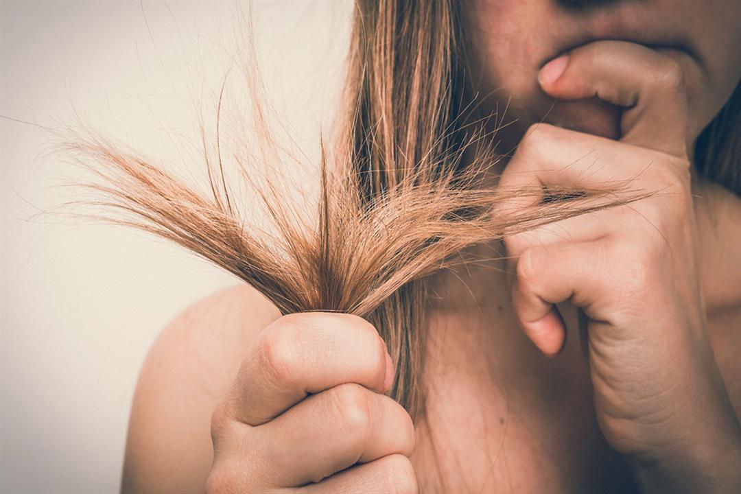 اصلاح الشعر التالف