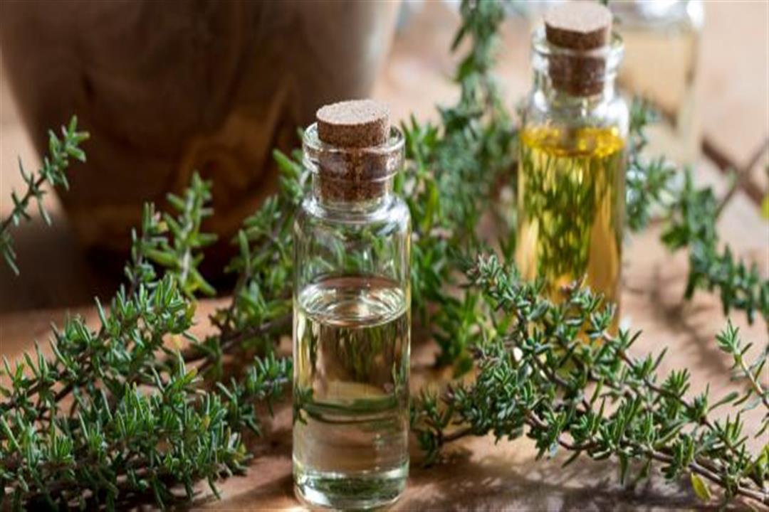 فوائد_زيت_الزعتر_للجسم