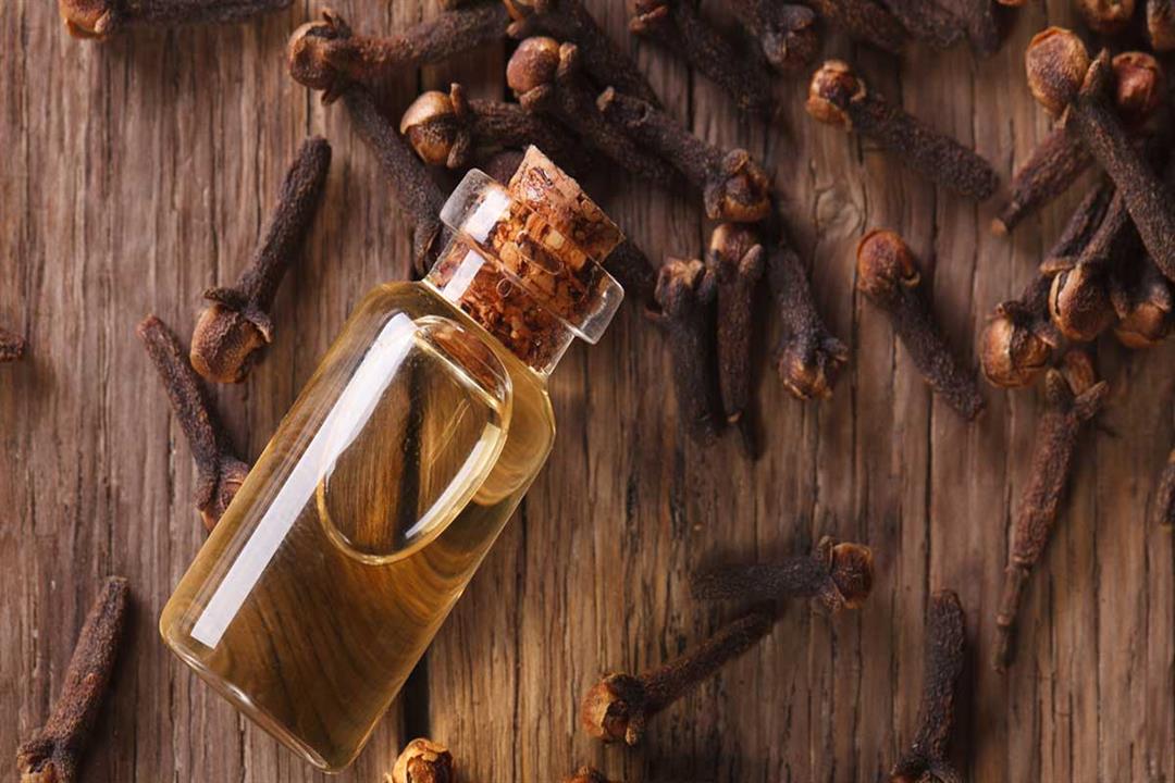 زيت القرنفل