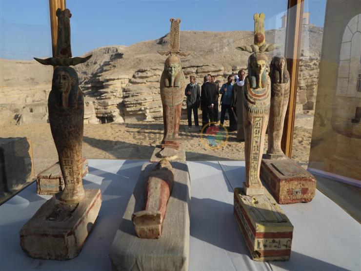 مدير آثار سقارة: الاكتشاف الجديد يعكس اهتمام المصريين القدامى بالحيوانات