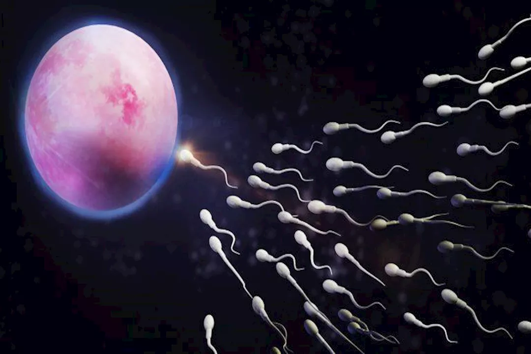 ضعف الحيوانات المنوية