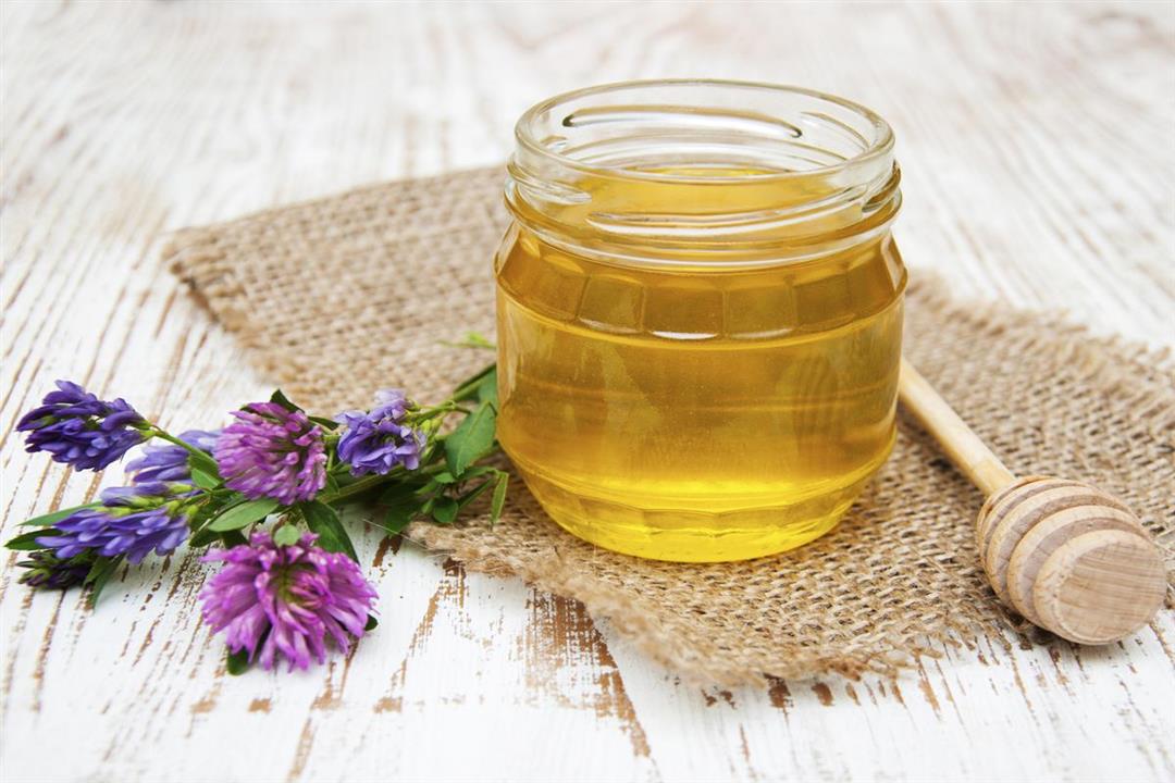 عسل البرسيم