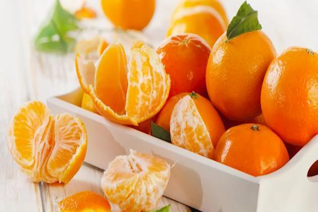 تأثير اليوسفي على ضغط الدم