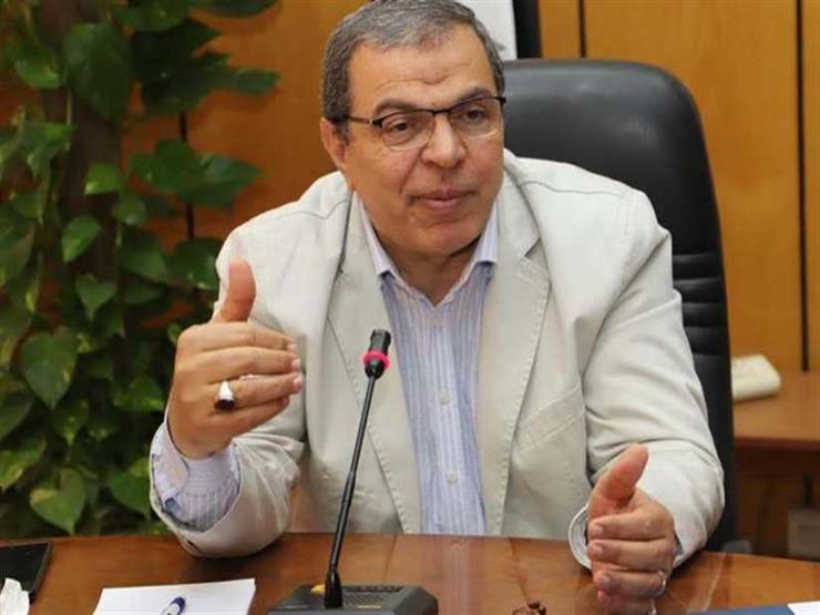 وزير القوى العاملة: 26 مليار دولار حجم تحويلات المصريين بالخارج 