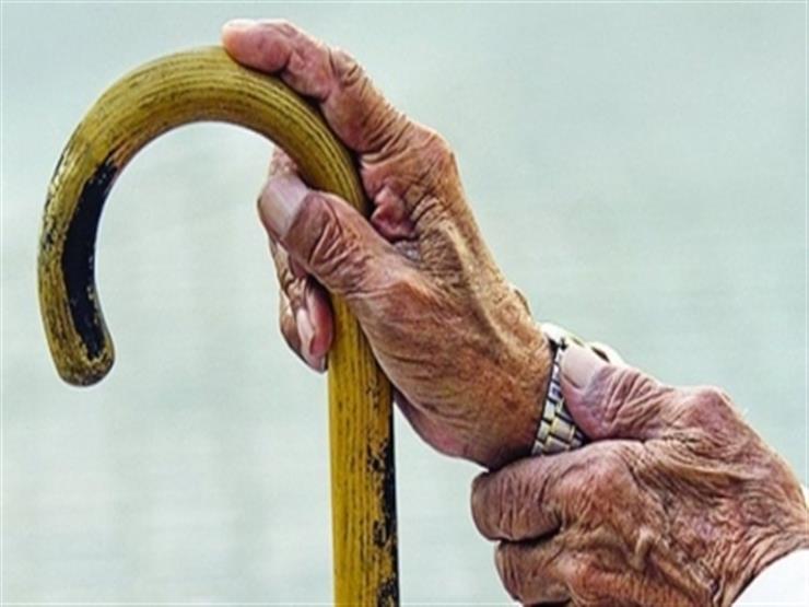 "هدفنا رد الجميل"..تضامن القليوبية: نوفر كافة الخدمات اللائقة لكبار السن في دور المسنين 