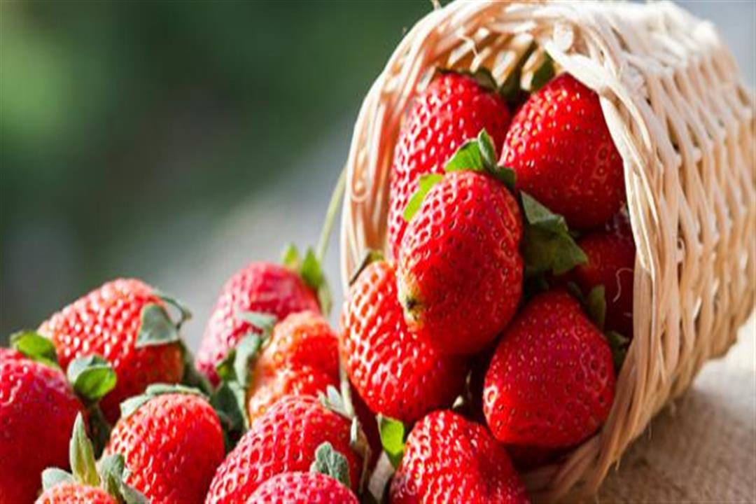 تعاني من السكري؟.. 6 فواكه شتوية تساهم في ضبطه1