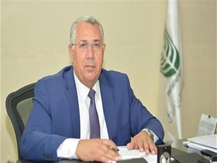 وزير الزراعة: لأول مرة استنباط صنف جديد من القمح بخبرة علماء مصر