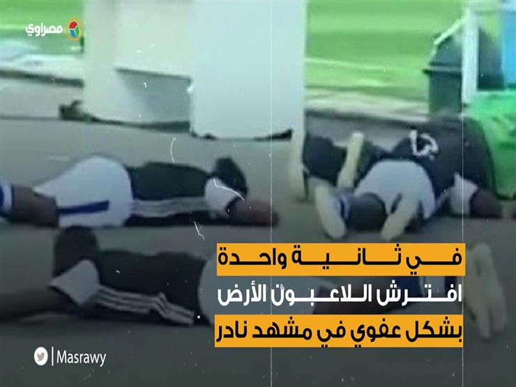 سرب نحل يهاجم اللاعبين في كأس تنزانيا