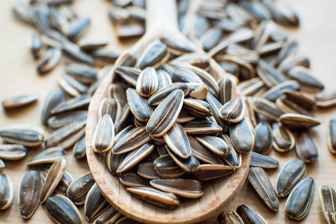 اللب السوري