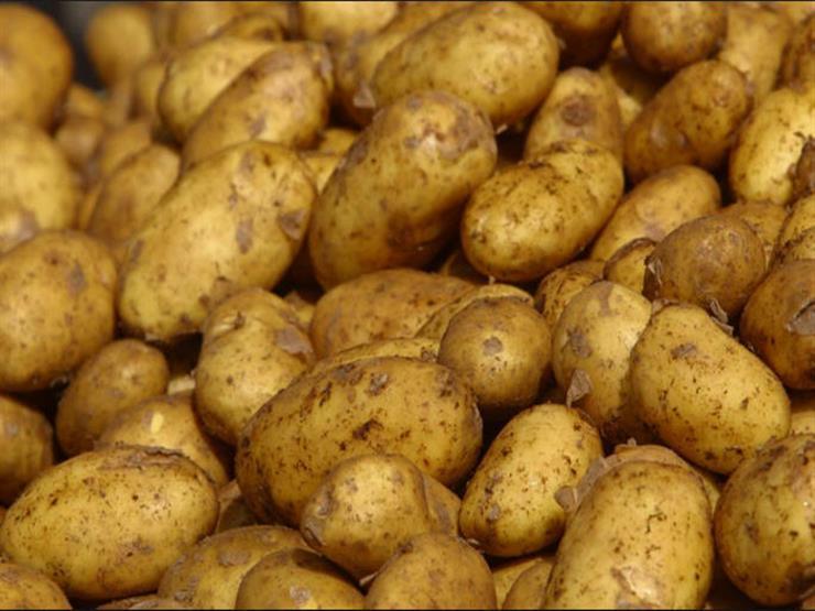 الحكومة ترد على مزاعم وجود أزمة في محصول البطاطس