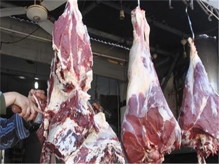 "الزراعة": متوسط أسعار اللحوم من 80 إلى 100جنيه