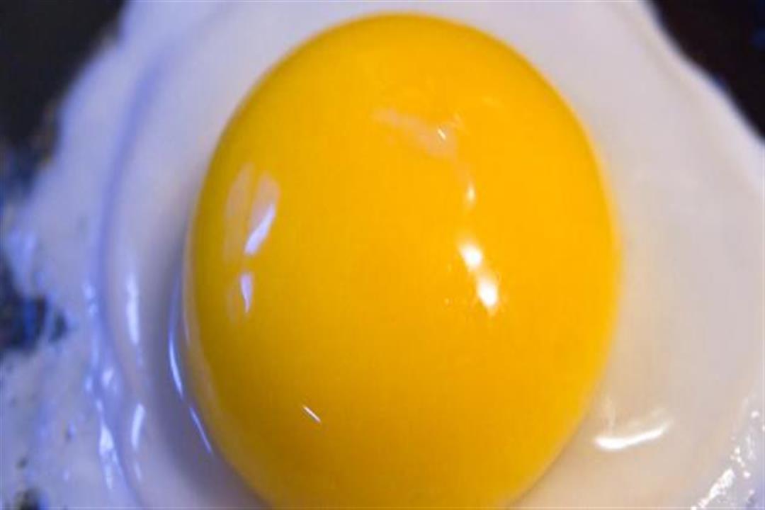 صفار البياض