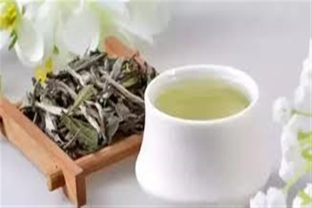 الشاي الأبيض