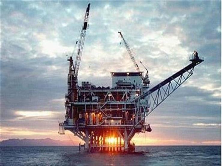 "البترول" تكشف تفاصيل طرح أول مزايدة عالمية للتنقيب في البحر الأحمر