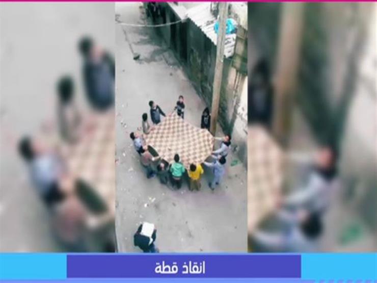 أطفال غزة يبتكرون وسيلة غريبة لإنقاذ قطة من على عمود كهرباء..فيديو