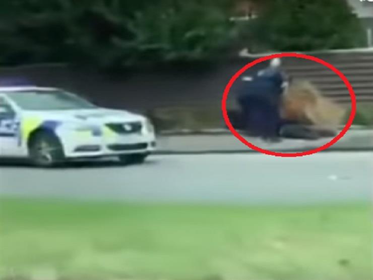  بالفيديو ..لحظة القبض علي أحد منفذي الهجومين بنيوزيلندا