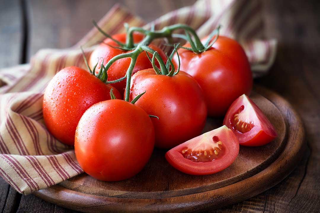 الطماطم موقع الجمال www.algamal.net