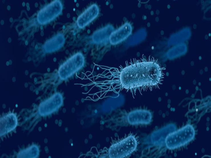 خبراء: انتشار بكتيريا خارقة تقاوم المضادات الحيوية