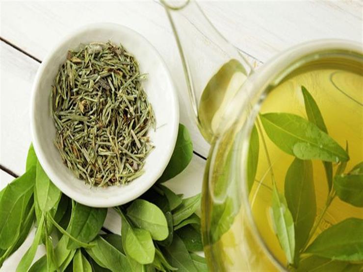 الشاي الأخضر يزيد فعالية المضادات الحيوية.. إليك السبب