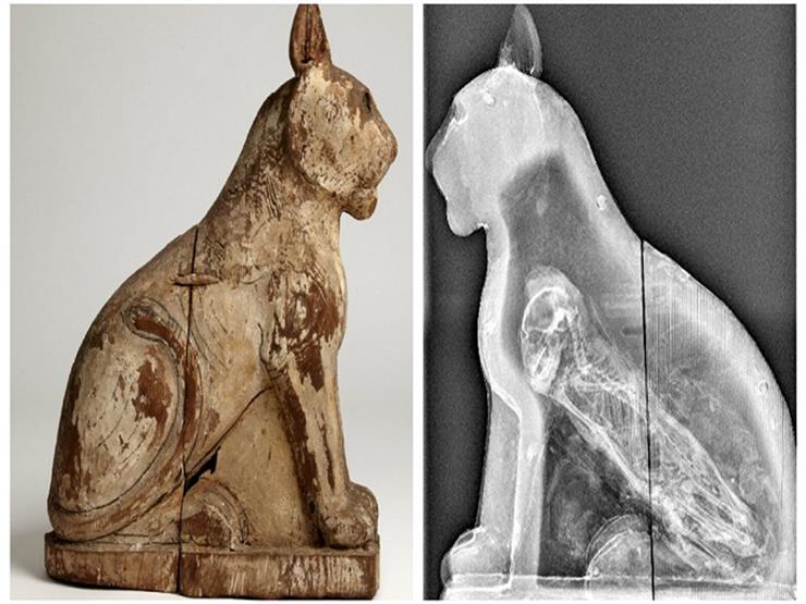"مومياوات حيوانات".. "الأعلى للآثار" يعلن عن اكتشافات أثرية في سوهاج الجمعة القادمة