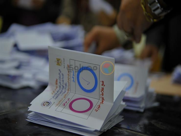 "مصر الثورة": مشاركة المصريين في الاستفتاء على التعديلات الدستورية مبشرة جدًّا 