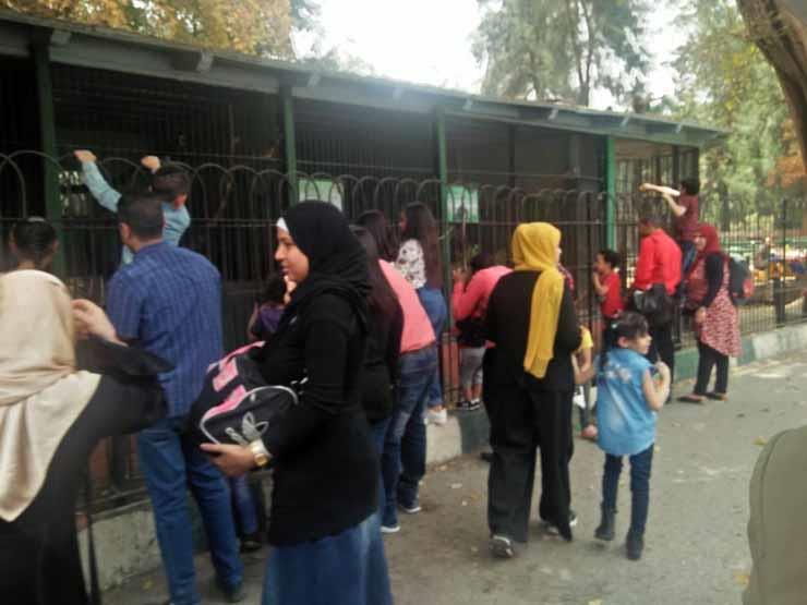 الصحة العالمية تحذر من شم النسيم: فرصة لزيادة إصابات كورونا الصحة العالمية تحذر من شم النسيم: فرصة لزيادة إصابات كورونا