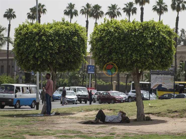 41 sur le Caire.. Détails des conditions météorologiques aujourd’hui mercredi (forte vague