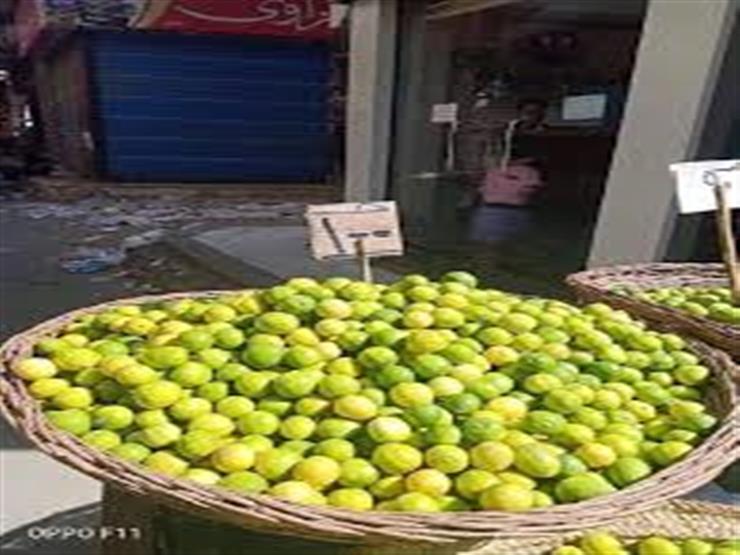 مساعد وزير التموين يكشف سبب ارتفاع سعر الليمون
