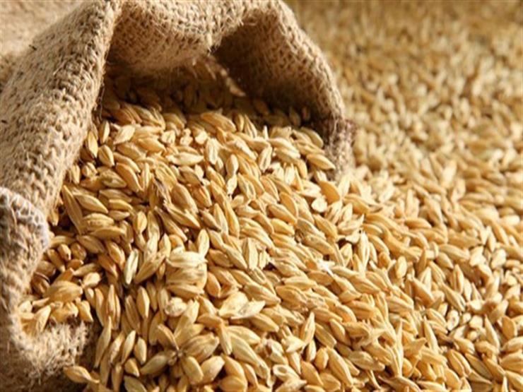هل تدرس الحكومة رفع أسعار توريد أرز الشعير.. رئيس قطاع التجارة الداخلية يوضح