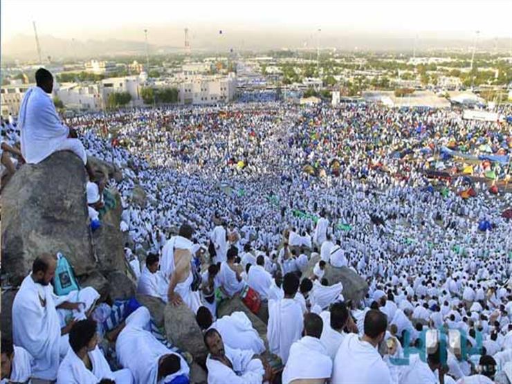 #فتاوى_الحج.. قمنا بالعمرة ثم رجعنا للعمل وذهبنا للحج.. فكيف يكون حجنا؟ #فتاوى_الحج.. قمنا بالعمرة ثم رجعنا للعمل وذهبنا للحج.. فكيف يكون حجنا؟