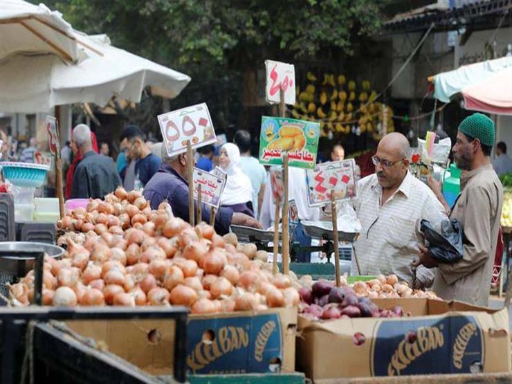شعبة الخضار والفاكهة: الأسواق شهدت انخفاضًا ملحوظ في أسعار السلع