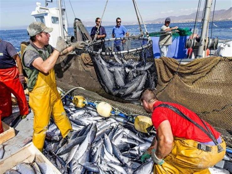 متحدث صندوق "تحيا مصر": مبادرة "بر أمان" هدفها حماية الصيادين وتوفير أدواتهم