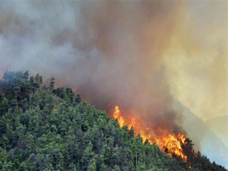رئيس هيئة الأرصاد الجوية يوضح أسباب حريق غابات الأمازون
