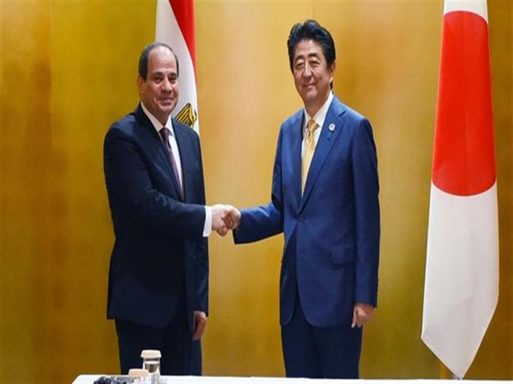 محلل اقتصادي: "تيكاد 7" فرصة مصر للاستفادة من التجربة اليابانية