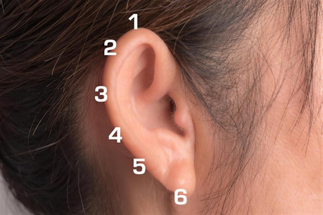 5d494d2ed43750b17c8b45b9