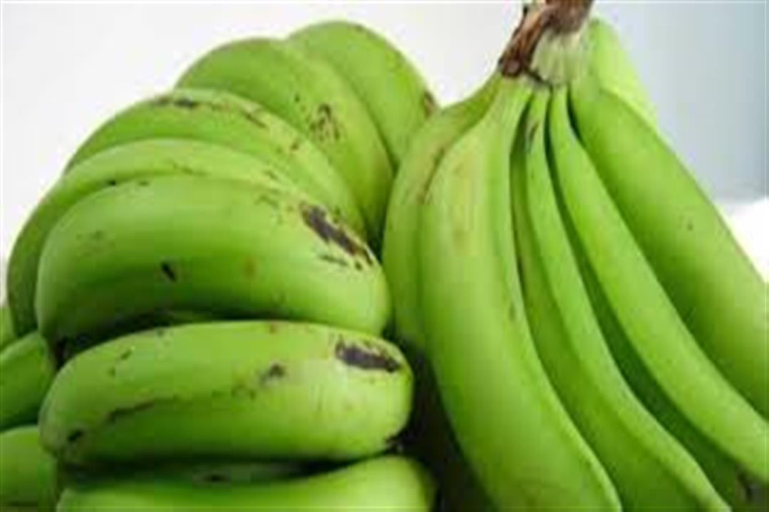 موز اخضر
