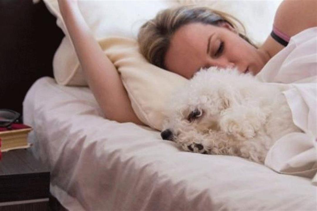 دراسة جديدة تكشف فوائد صحية للنوم بجوار الكلاب