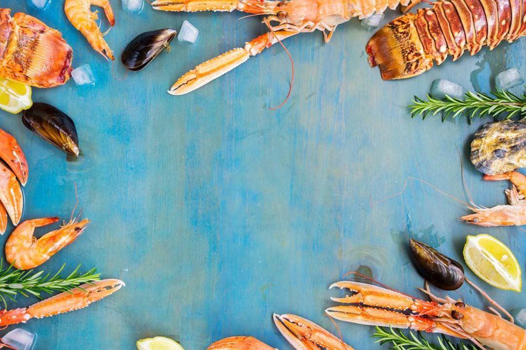 الأسماك الدهنية