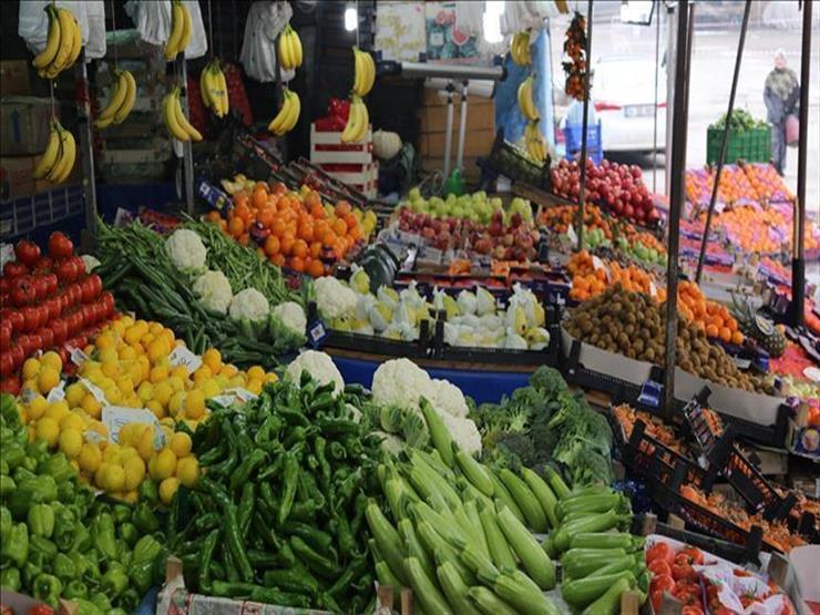 التعبئة والإحصاء: انخفاض أسعار الخضروات بنسبة 20%