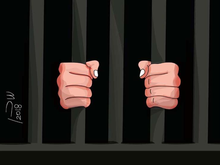 الحبس 6 أشهر لصاحب حصان "عض" طفل بالشرقية الحبس 6 أشهر لصاحب حصان "عض" طفل بالشرقية