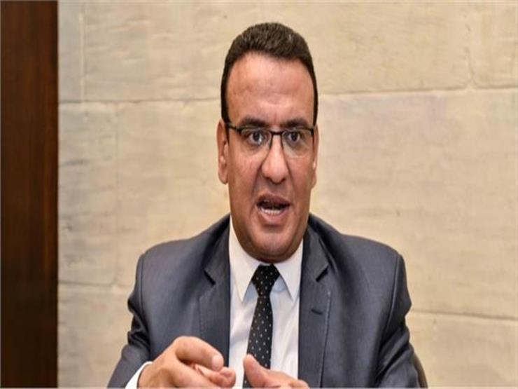 متحدث "النواب": خطوات الحكومة المصرية في التصدي لـ"كورونا" تستحق التقدير- فيديو
